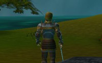 SHERWOOD MMORPG