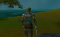 SHERWOOD MMORPG